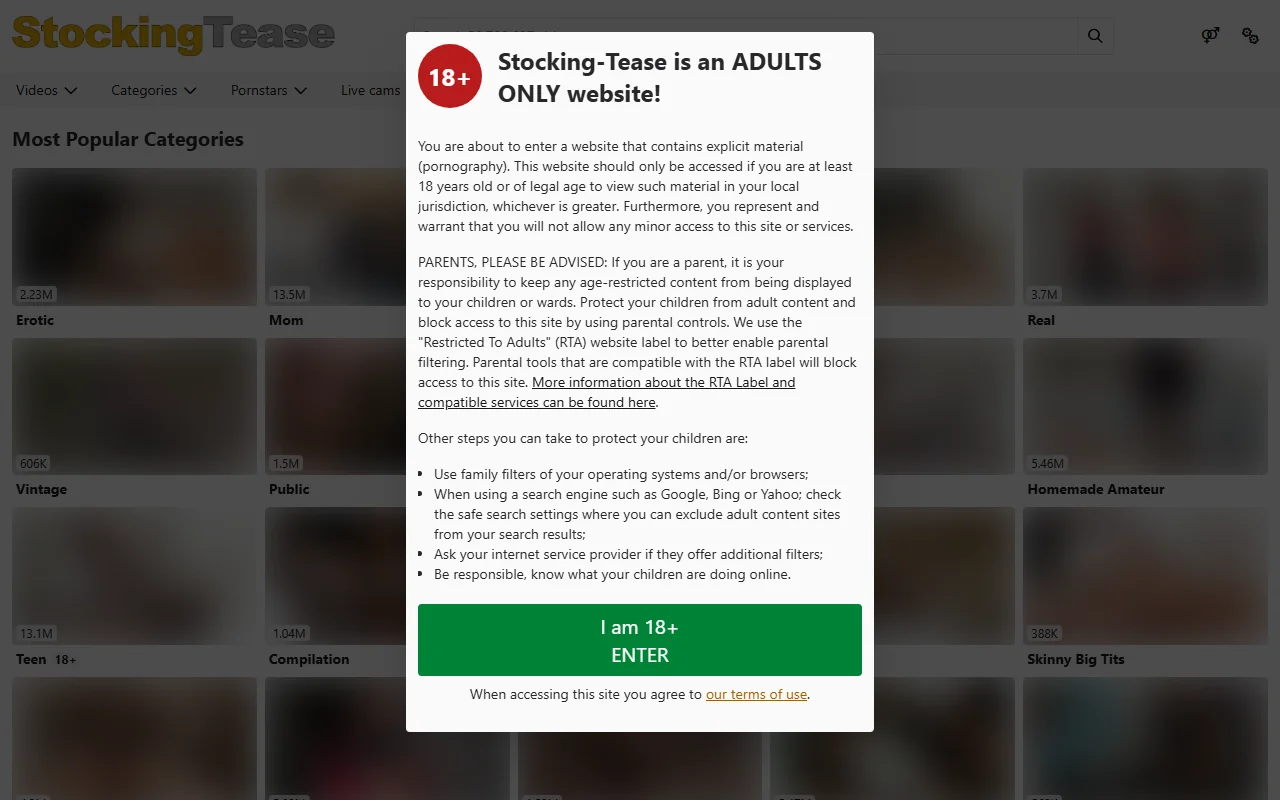 Screenshot of Stockingtease